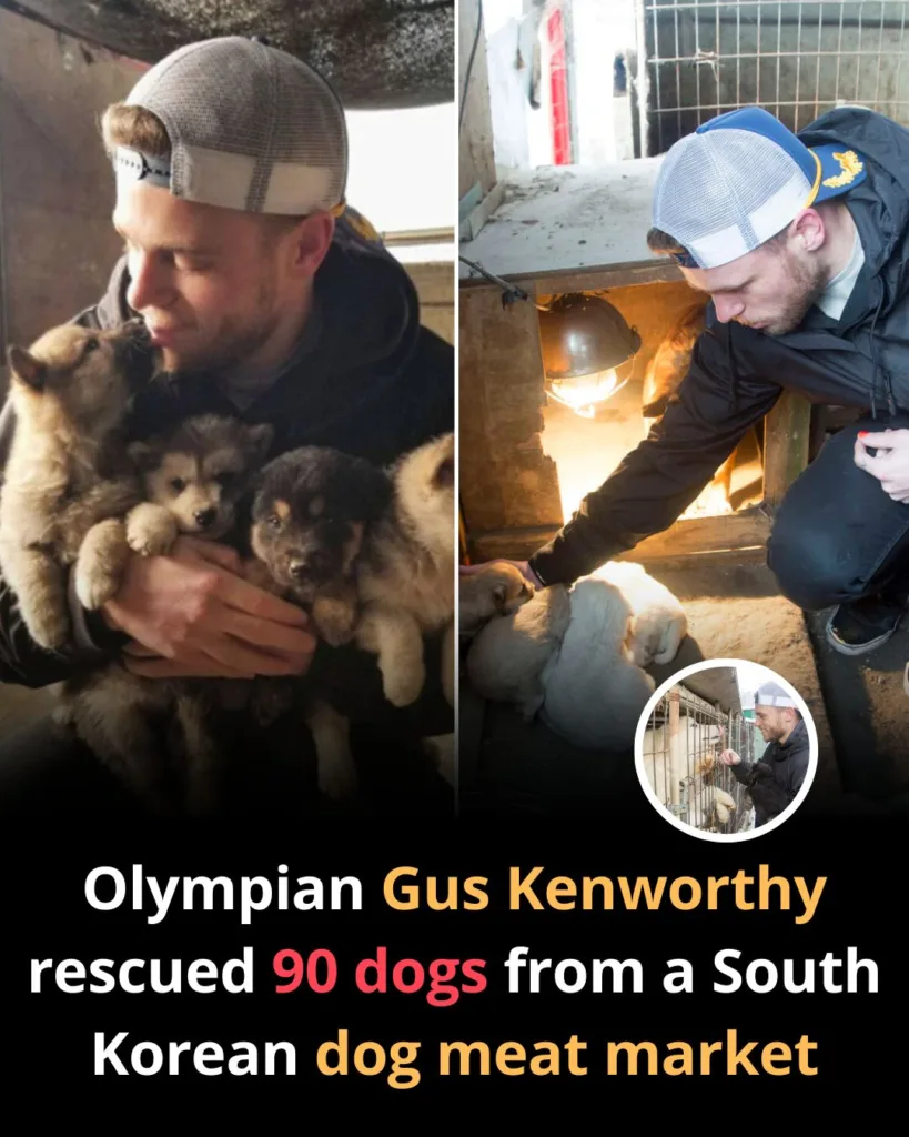 586254241 122185906304529881 2385794024366800815 n