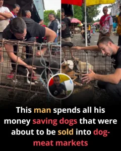 587841377 122186206442529881 7198168739209914219 n