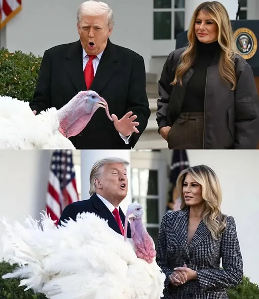 T.R.U.M.P RETURNS TO THE SOUTH LAWN — THANKSGIVING TURKEY PARDON STUNS REPORTERS AS MELANIA STEALS THE SHOW 588687867 820363220978354 3634900832779897652 n
