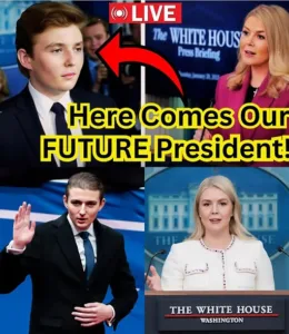 588701058 815863438094999 8708780538424260516 n