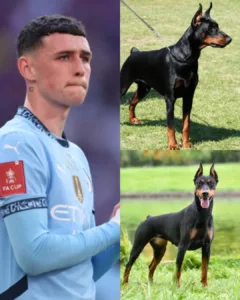 588731909 122262345206033060 8207396430702847539 n