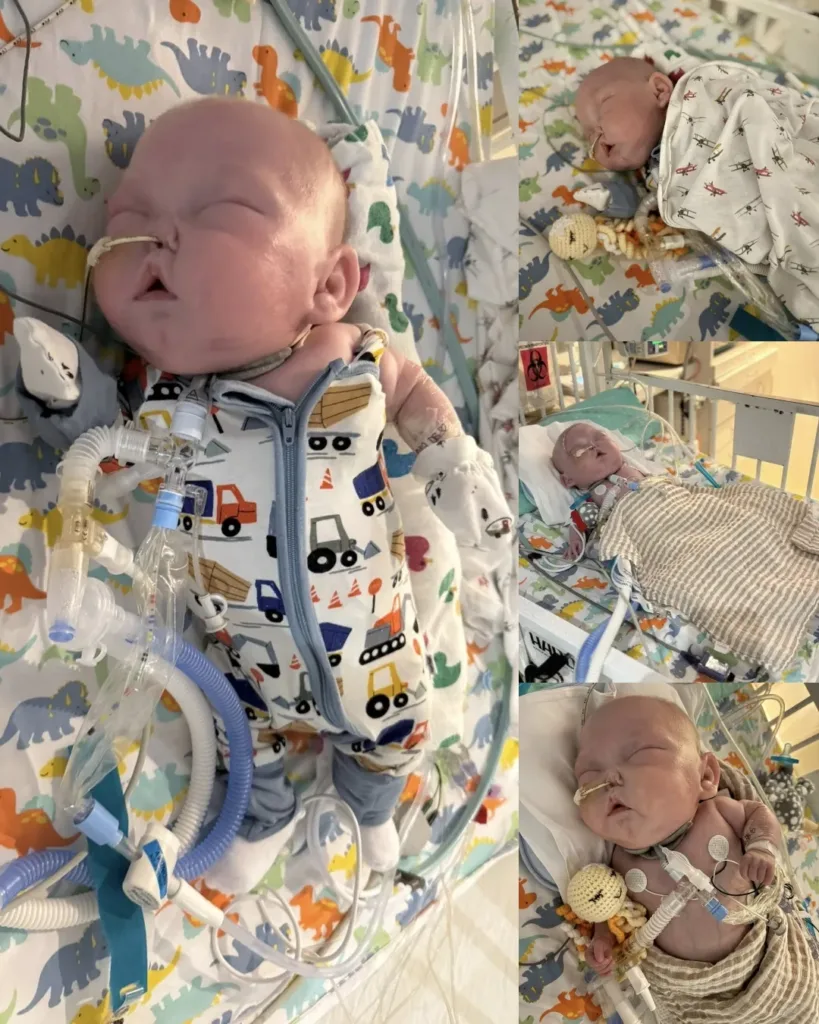 Theo's Journey: A Mother's Resilience Amidst Uncertainty Theo's Journey: A Mother's Resilience Amidst Uncertainty