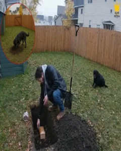 She Lost Her Puppies, But Couldn’t Let Go