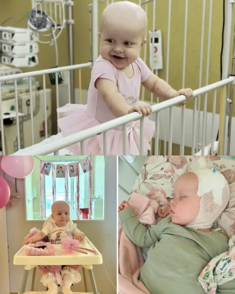 Support Little Maja in Her Battle for Life Support Little Maja in Her Battle for Life