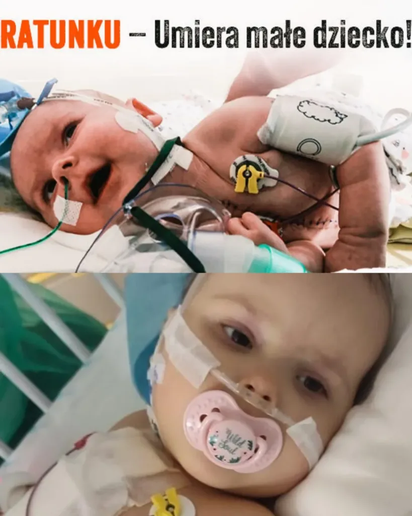 Milenka's Battle for Survival: Join Us in Supporting Our Brave Little Girl