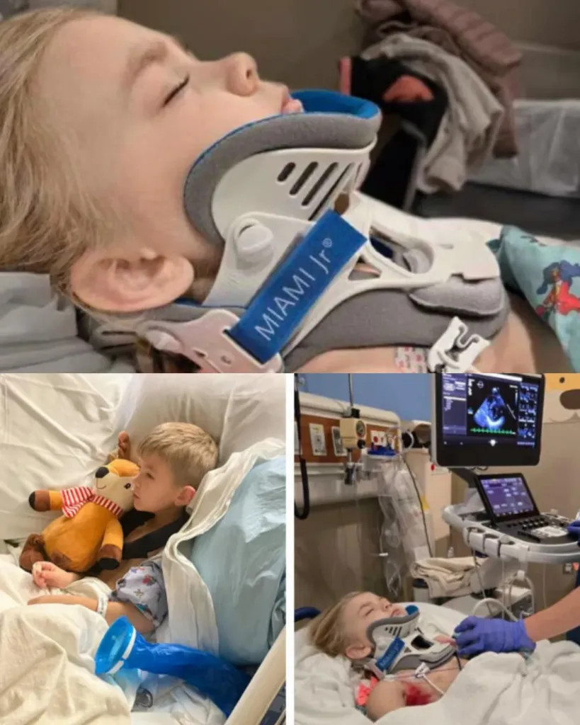 A Family's Fight for Survival: Support Darek and His Children Through Their Tragedy A Family's Fight for Survival: Support Darek and His Children Through Their Tragedy