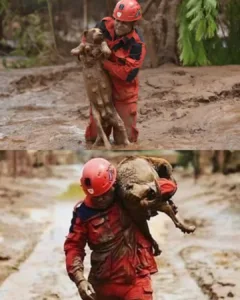 A Hand in the Mud: A Rescue That Showed the World the Meaning of Humanity