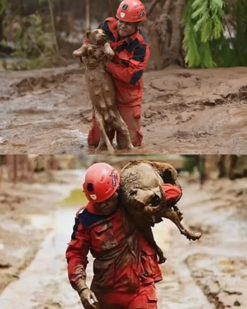 A Hand in the Mud: A Rescue That Showed the World the Meaning of Humanity A Hand in the Mud: A Rescue That Showed the World the Meaning of Humanity
