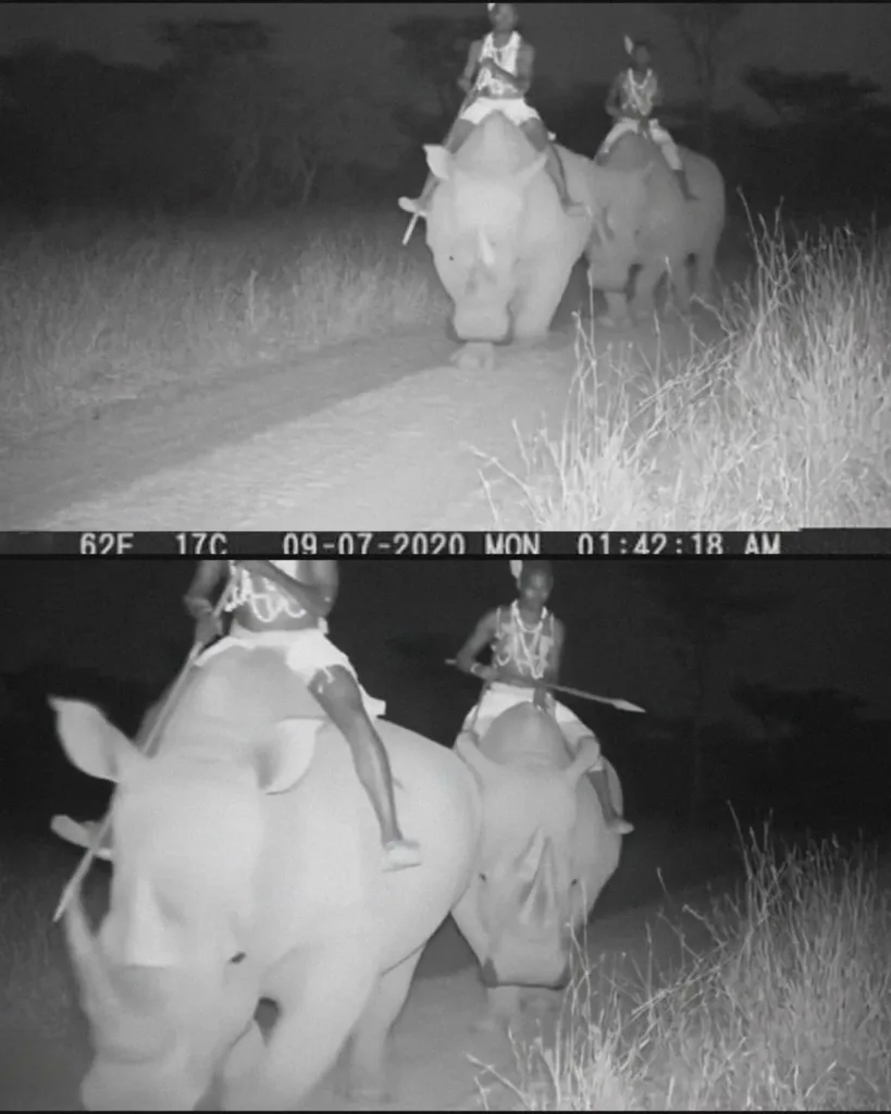 The Rhino Riders: A Living Legend from the Wilderness The Rhino Riders: A Living Legend from the Wilderness