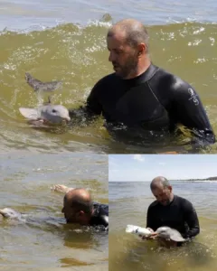 The Dolphin and the Fisherman: A Tale of Compassion That Resonated Globally