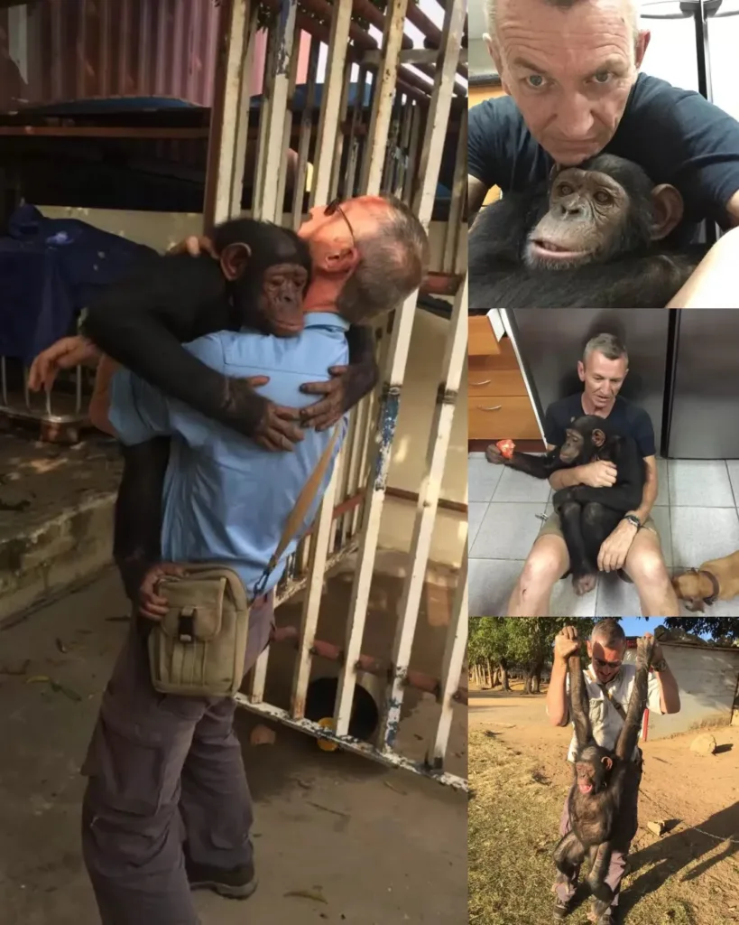 From Chains to Freedom: The Rescue of Leila the Chimpanzee