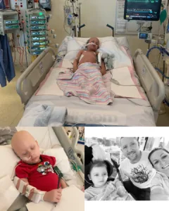 Asher’s Journey: A Tale of Bravery, Love, and Unyielding Resolve