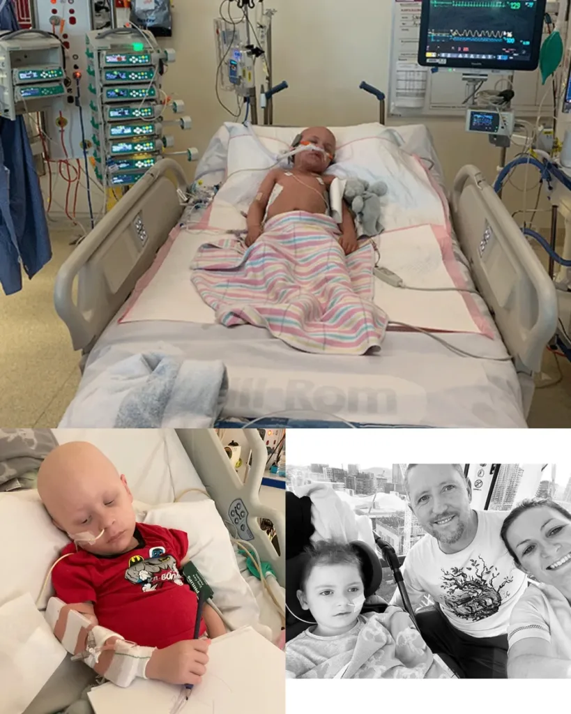 Asher’s Journey: A Tale of Bravery, Love, and Unyielding Resolve Asher’s Journey: A Tale of Bravery, Love, and Unyielding Resolve