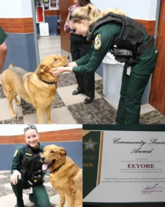 Eeyore’s Journey from Shelter Dog to Local Hero: A Story of Loyalty and Second Chances