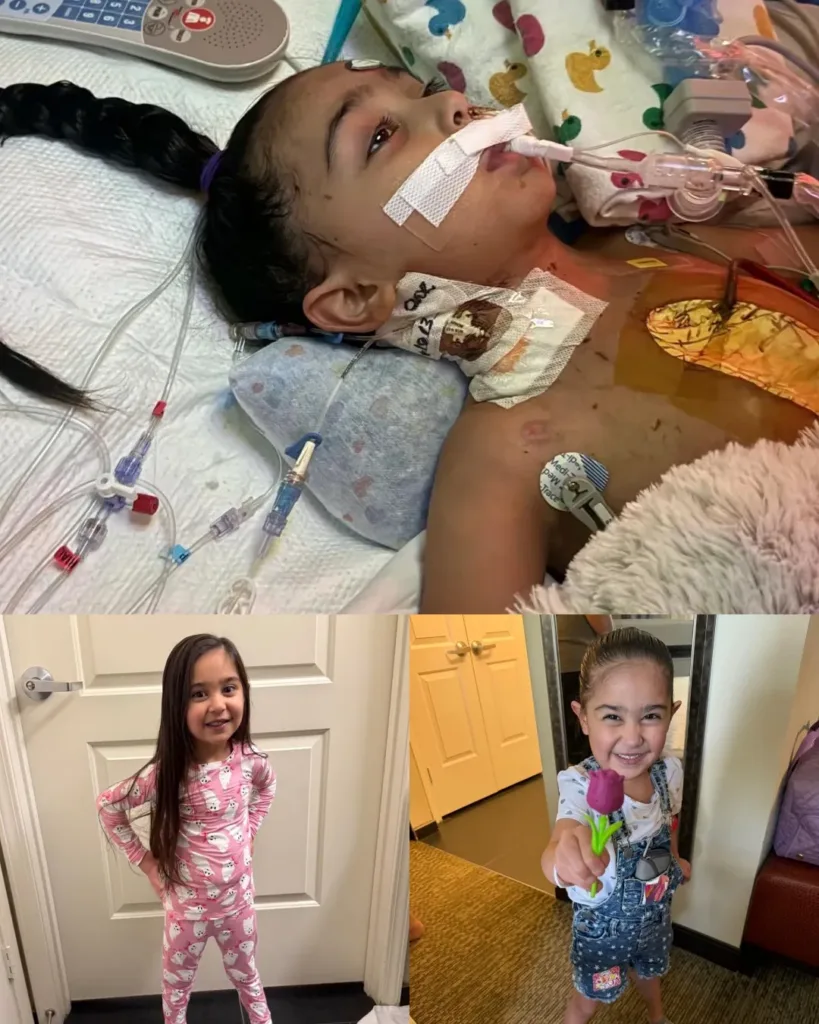 Khaleesi’s Fight: A Family’s Unwavering Hope and a Call for a Miracle Khaleesi’s Fight: A Family’s Unwavering Hope and a Call for a Miracle