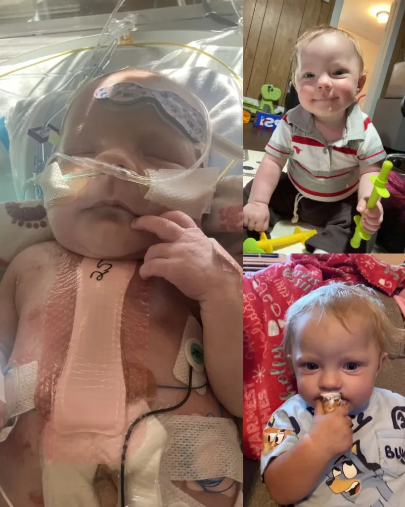 Oliver's Journey: A Tale of Resilience, Courage, and Hope Oliver's Journey: A Tale of Resilience, Courage, and Hope