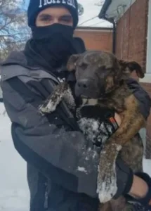 Blizzard’s Tale: A Touching Rescue from the Cold Blizzard’s Tale: A Touching Rescue from the Cold