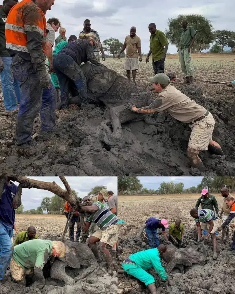 Tess and Mana: A Tale of Resilience, Kindness, and Hope