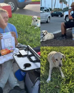 A Tale of Affection, Devotion, and a Humble Request for Assistance A Tale of Affection, Devotion, and a Humble Request for Assistance