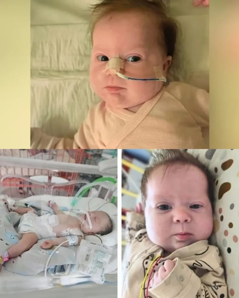 Gabrysia's Story: A Sincere Request for Assistance Gabrysia's Story: A Sincere Request for Assistance