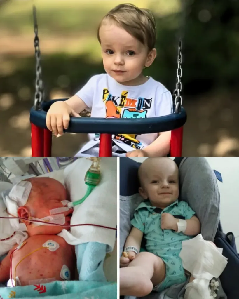 Mikołaj's Fight: A Journey of Hope and Resilience Mikołaj's Fight: A Journey of Hope and Resilience