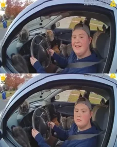 A Touching Story of Compassion and New Beginnings: Billy's Adventure with Down Syndrome and His Affection for Cats