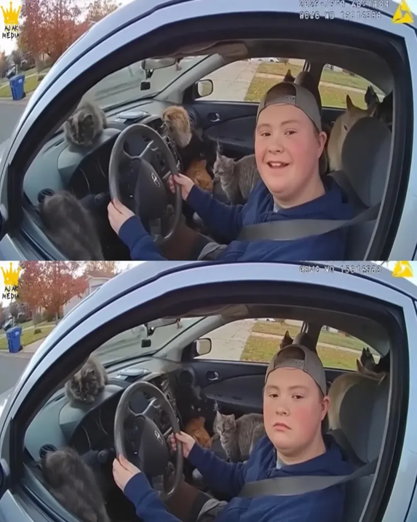 A Touching Story of Compassion and New Beginnings: Billy's Adventure with Down Syndrome and His Affection for Cats