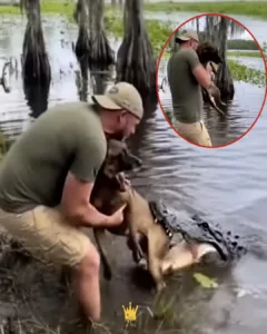 Florida Man Heroically Rescues Dog from Alligator After Teens Toss It into Lake