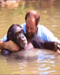 The Heroic Act That Bridged Species: A Man's Unwavering Courage at Detroit Zoo
