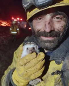 The Value of Every Life: A Touching Tale of Hedgehog Rescue