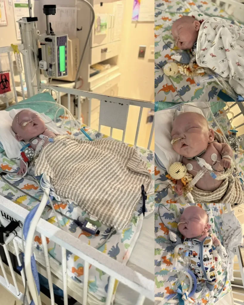 Theo's Update: October 24th – New Concerns and Challenges Ahead