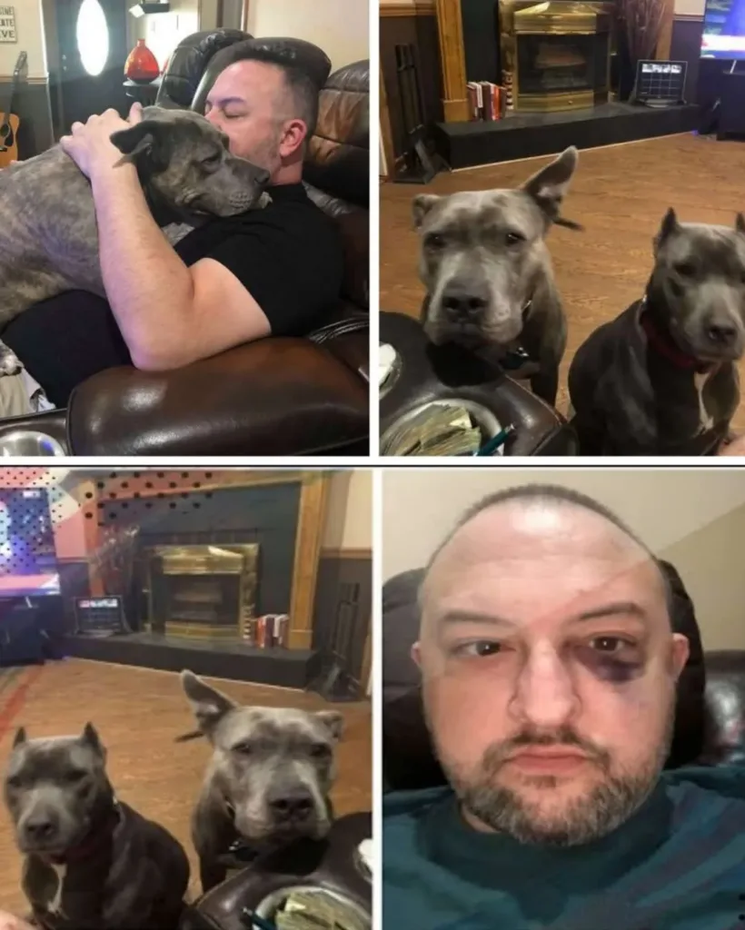 The Unsung Champions: How a Rescue Dog's Loyalty Changed My Life The Unsung Champions: How a Rescue Dog's Loyalty Changed My Life