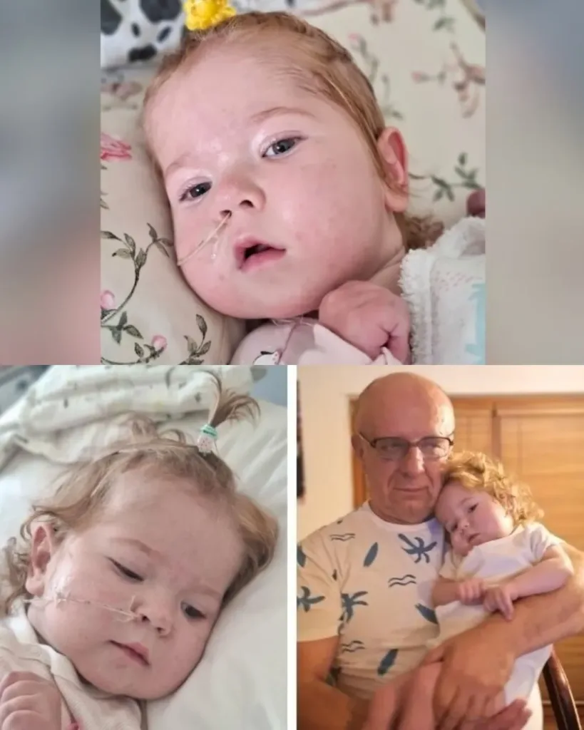 Hania's Incredible Journey: A Tale of Resilience, Hope, and Urgent Assistance Hania's Incredible Journey: A Tale of Resilience, Hope, and Urgent Assistance