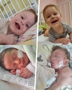 Desperate Call for Bruno’s Survival: A Race Against Time