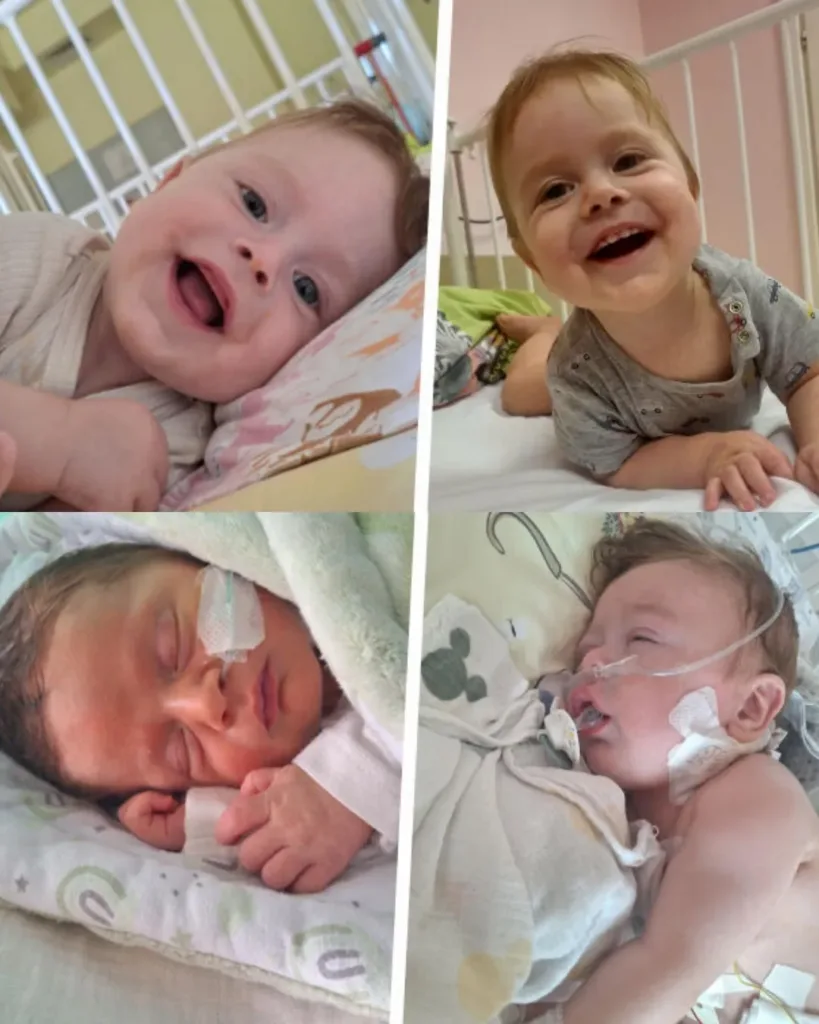 Desperate Call for Bruno’s Survival: A Race Against Time