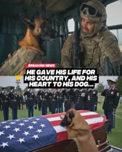 The Indestructible Connection: Sergeant Martin and K9 Companion Lucky