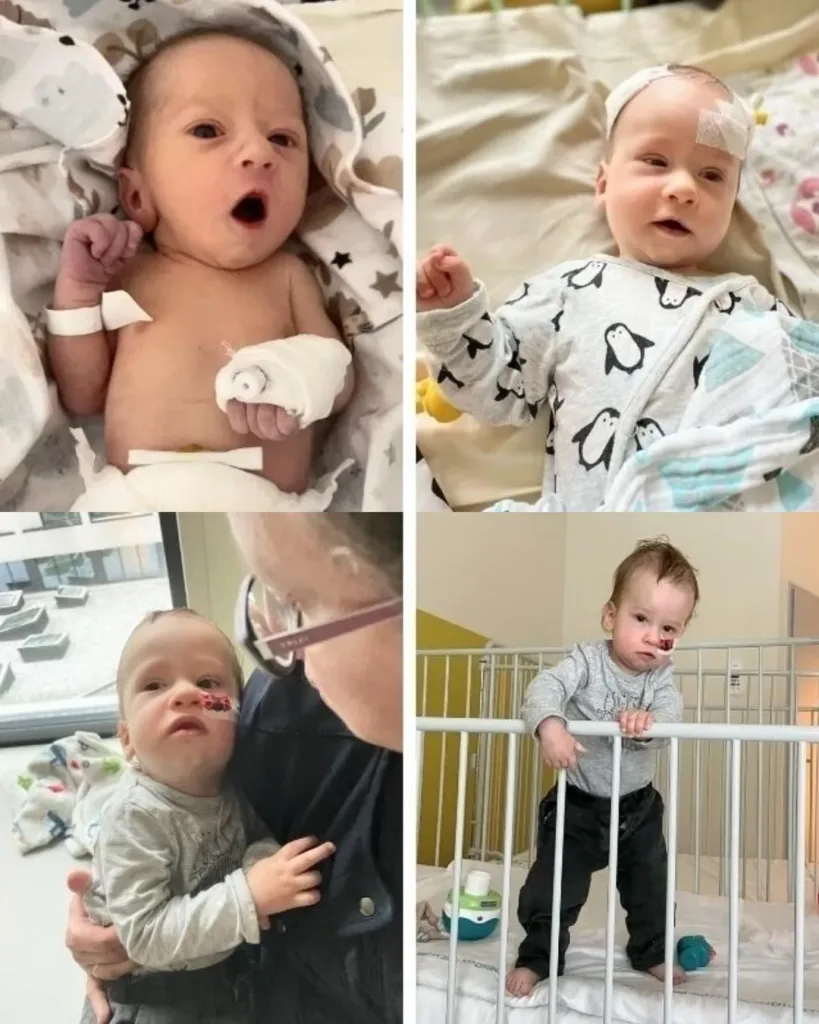 Leo's Journey: A Struggle for Health and Clarity Leo's Journey: A Struggle for Health and Clarity