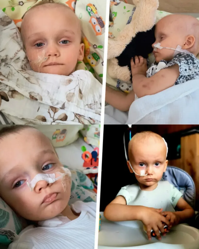 A Mother's Hope: Battling for Oliwierek’s Life Against an Unimaginable Foe