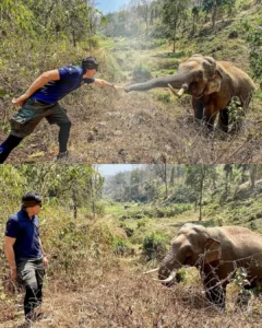 A Timeless Connection: The Reunion of Dr. Simon Hayes and the Elephant Calf He Rescued