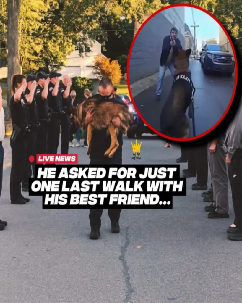 A Final Walk of Loyalty: Officer Randall and His K9 Partner’s Heartbreaking Goodbye A Final Walk of Loyalty: Officer Randall and His K9 Partner’s Heartbreaking Goodbye
