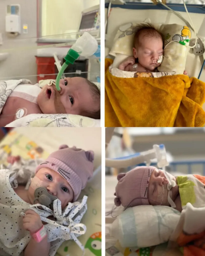 Rita’s Fight: A Journey of Love, Hope, and Unyielding Strength Rita’s Fight: A Journey of Love, Hope, and Unyielding Strength