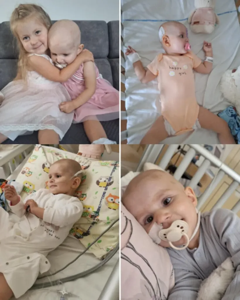 Amelka’s Fight: A Tale of Resilience, Hope, and Unyielding Love Amelka’s Fight: A Tale of Resilience, Hope, and Unyielding Love