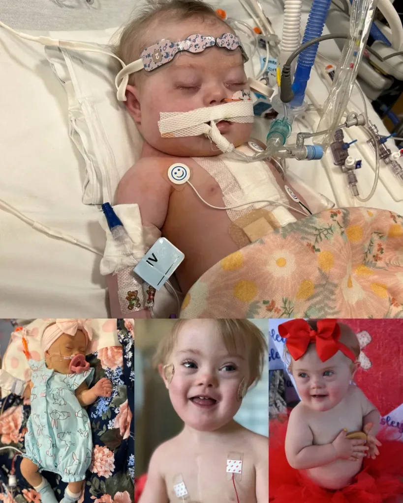 Paisley’s Journey: A Heart Warrior’s Miraculous Fight Paisley’s Journey: A Heart Warrior’s Miraculous Fight