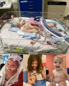 Isabelle: A Journey of Courage and Hope for a Heart Warrior