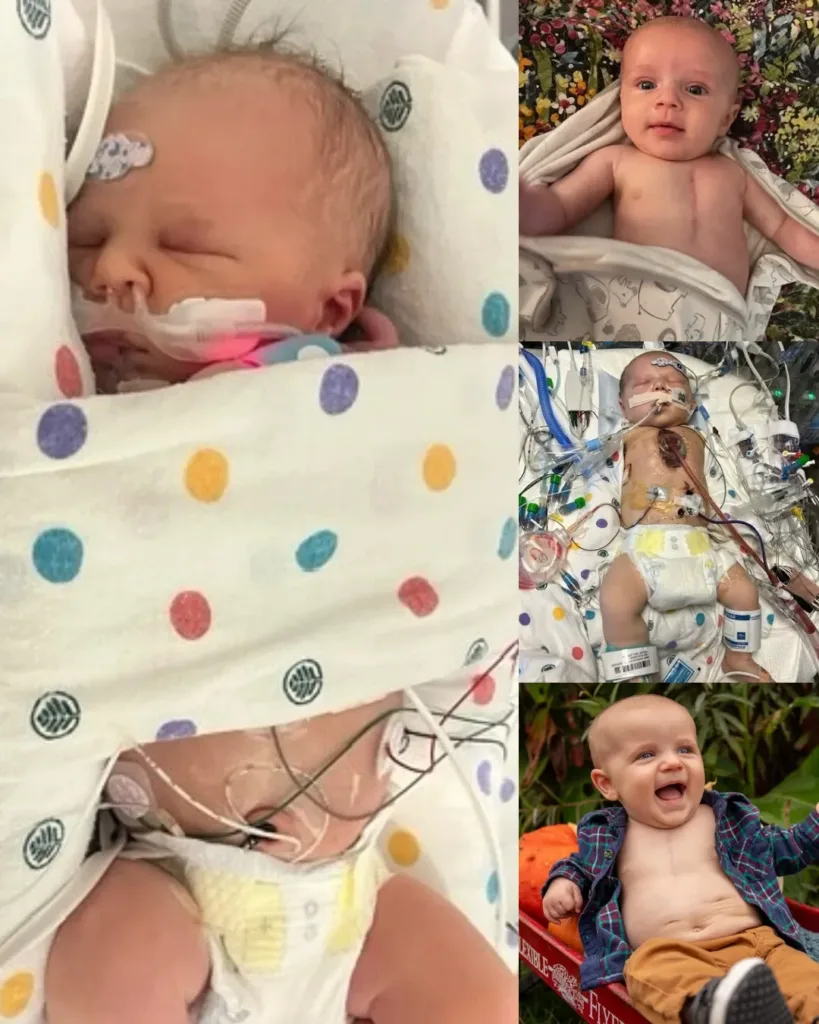 Stafford Luke Justice: A Heart Warrior's Journey of Strength and Smiles