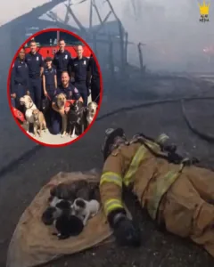 Firefighter’s Final Rescue Saves Ten Souls