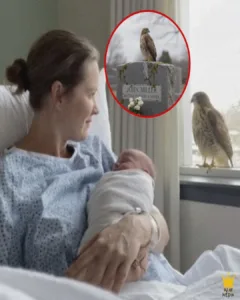 Some Call It Coincidence. She Calls It Proof Her Husband Never Left.