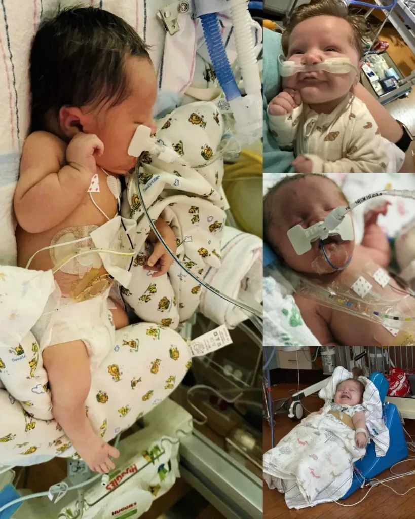 Sterling’s Song: A Family’s Prayer for Their Tiny Warrior Sterling’s Song: A Family’s Prayer for Their Tiny Warrior