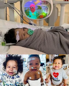 Kyler’s Journey: A Heart Warrior’s Story of Hope and Strength