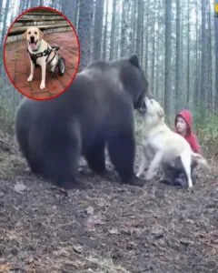 The Unbreakable Bond: A Tale of Loyalty and Love